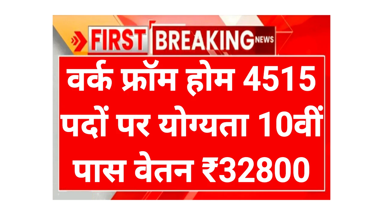 Govt Work From Home Job